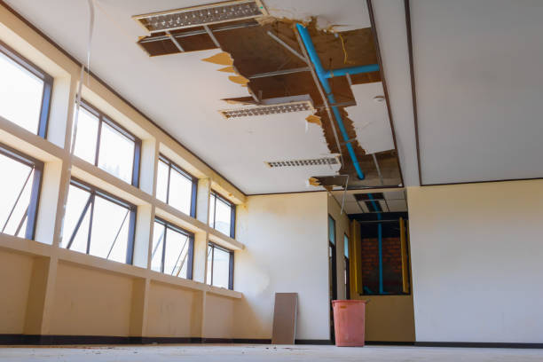 Best Mold removal after water damage  in Gardnertown, NY