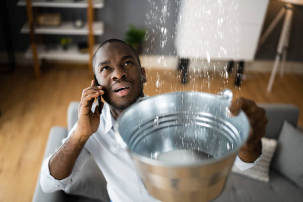 Best Water damage restoration near me  in Gardnertown, NY