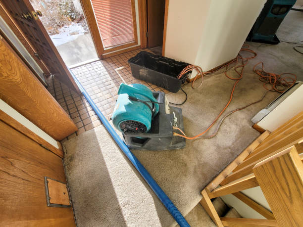 Best 24/7 water damage repair  in Gardnertown, NY