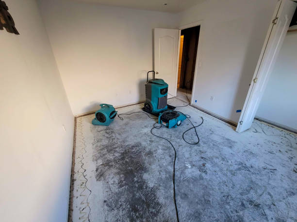 Best Commercial water damage restoration  in Gardnertown, NY