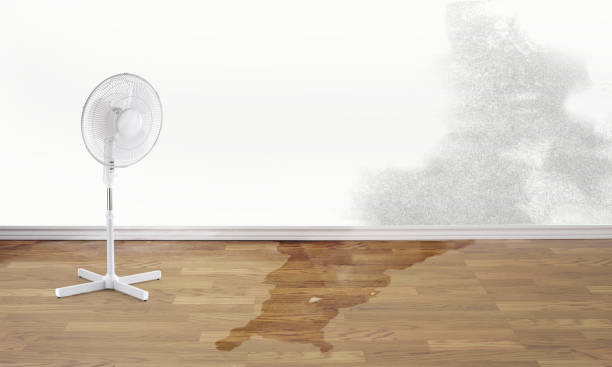 Best Residential water damage restoration  in Gardnertown, NY