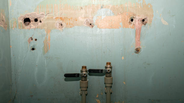 Best Professional water damage repair  in Gardnertown, NY