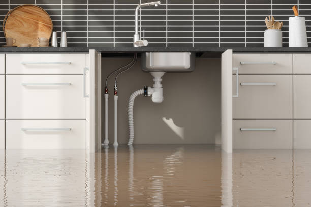  Gardnertown, NY Water damage restoration Pros