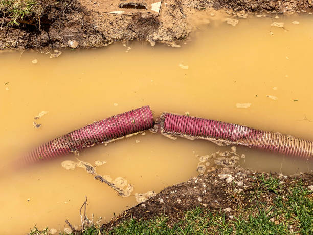 Best 24-hour water damage restoration  in Gardnertown, NY