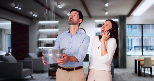 Best 24/7 water damage repair  in Gardnertown, NY